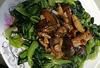 香菇青菜的做法