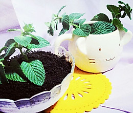 盆栽冰淇淋（三色and 单色）的做法
