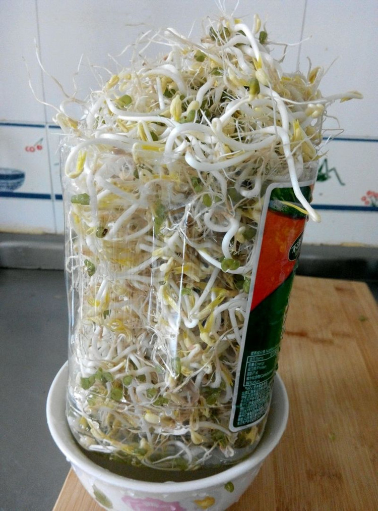 自己在家发绿豆芽的做法