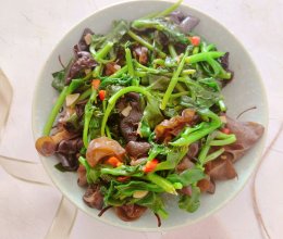 #减一点更好#穿心莲炒木耳的做法