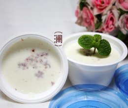 自制蔓越莓老酸奶（烤箱发酵）的做法