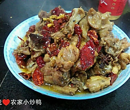 酒酿鸭子的做法
