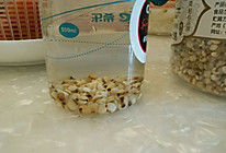薏米茶的做法