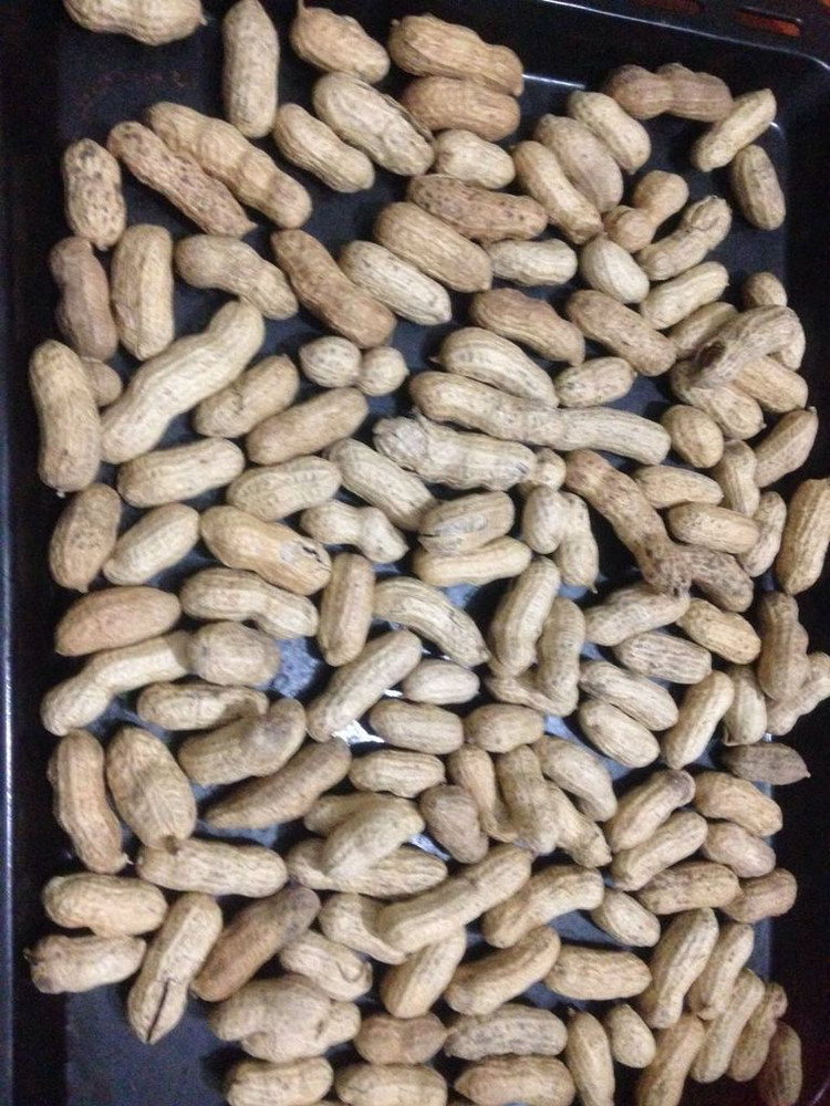 东菱K30A电子烤箱之烤花生--by珍味私房的做法