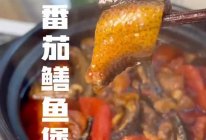#晒出你的中秋团圆饭#番茄鳝鱼煲的做法