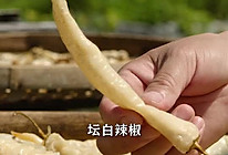 #夏日开胃餐# 湖南特产白辣椒卜辣椒，湖南人炒菜必备！的做法