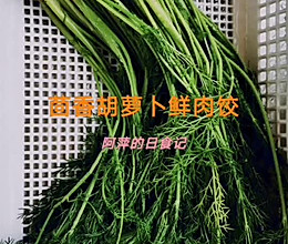 #美食视频挑战赛# 茴香胡萝卜鲜肉饺的做法