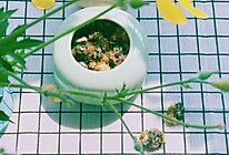自制蒲公英茶的做法