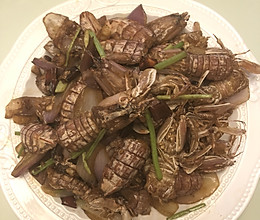 吮指皮皮虾（香辣皮皮虾）的做法