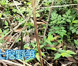 #夏日撩人滋味# 凉拌野笋，鲜得跳起来的做法