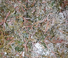 蒸马齿笕的做法