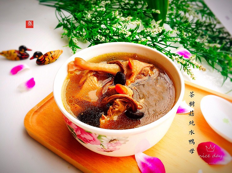 养生汤+茶树菇炖水鸭母的做法