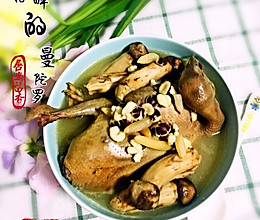 松茸炖乳鸽的做法