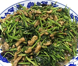 香菜肉丝的做法