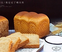 纯全麦吐司的做法