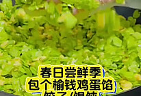 包个榆钱鸡蛋饺子和馄饨的做法