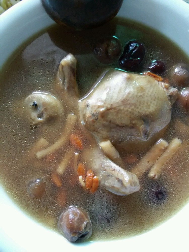 乳鸽汤的做法