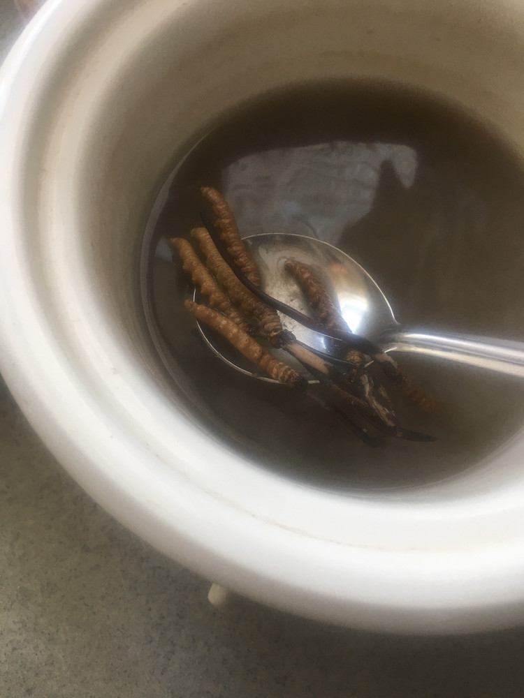 救命羹，冬虫夏草藏药羹肺癌的做法