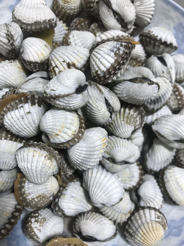 清水血蛤的做法