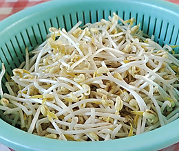 绿豆芽的做法