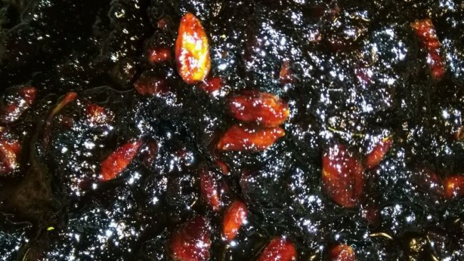 生姜红枣枸杞黑糖膏的做法