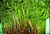 凉拌水芹菜的做法