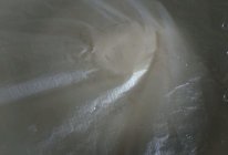 咸菜饼的做法