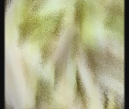 西红柿炒茄子的做法