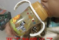自制百分百果汁的做法