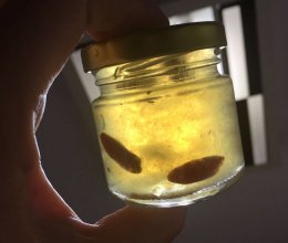 蓓妈分享-懒人也能天天喝自己炖的燕窝的做法