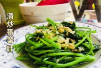 #金龙鱼橄榄油调和油520美食菜谱#清炒番薯叶的做法