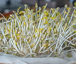 绿豆芽的做法