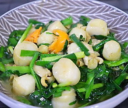 扇贝肉炒韭菜的做法