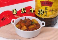 #寻味外婆乡，香聚中国年#番茄牛腩的做法