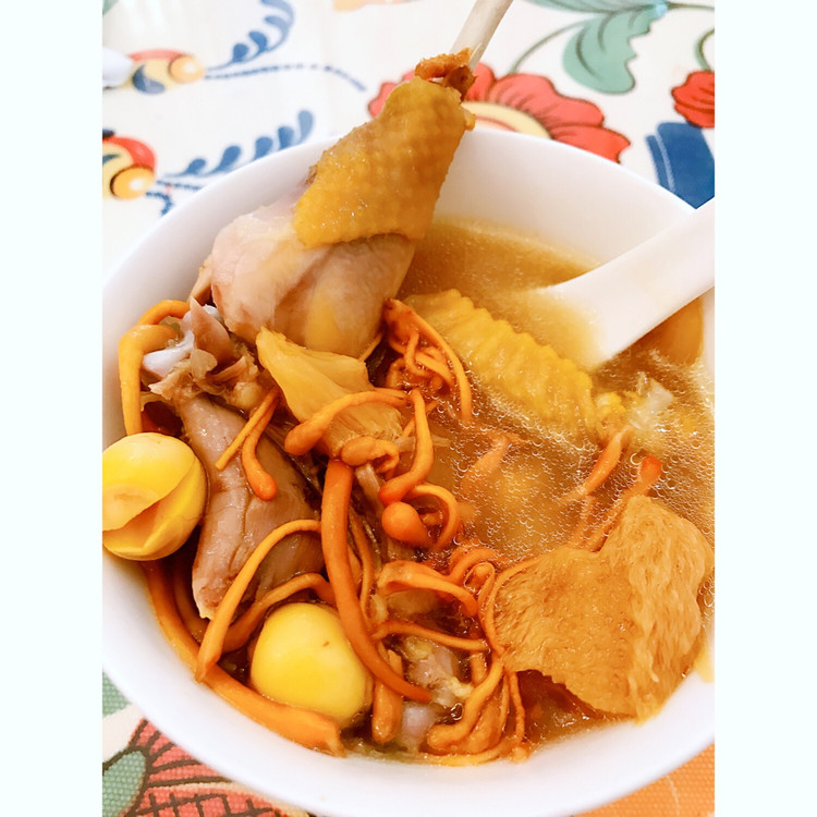 猴头菇养胃鸡汤的做法