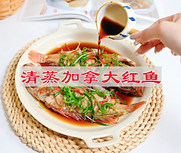 #立冬第一补#清蒸加拿大红鱼的做法