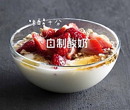 家庭自制酸奶的做法
