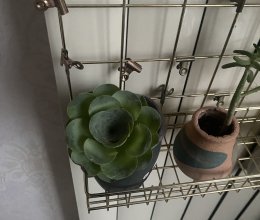番茄锅的做法