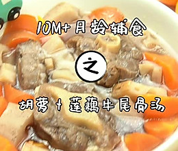 胡萝卜莲藕牛尾汤的做法
