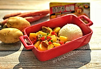 土豆牛肉咖喱饭#百梦多Lady咖喱#的做法