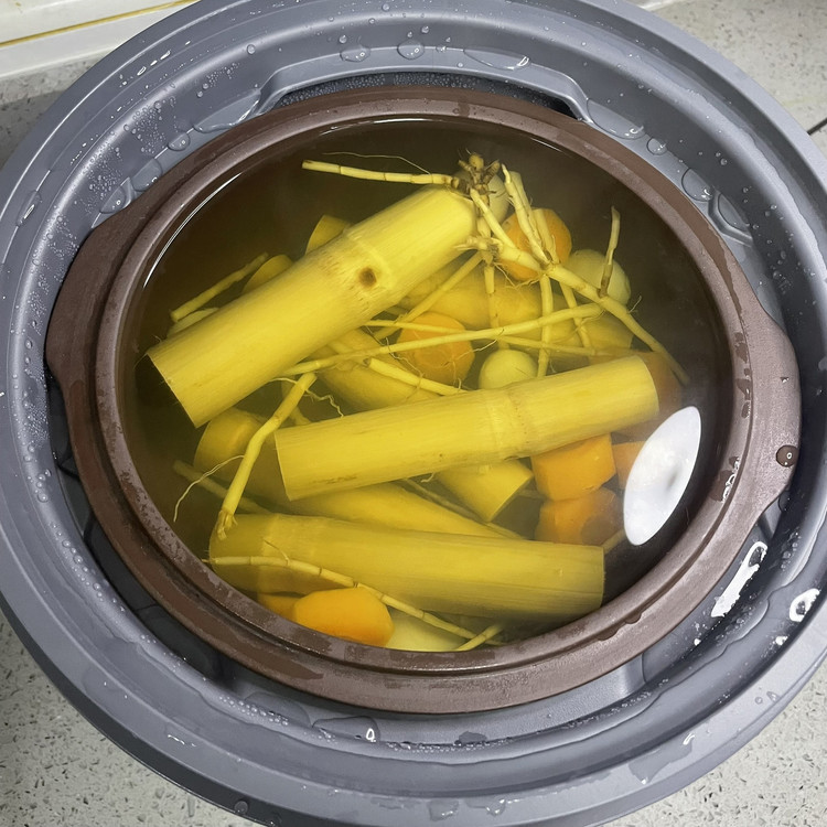 全家都适合的茅根甘蔗马蹄水的做法