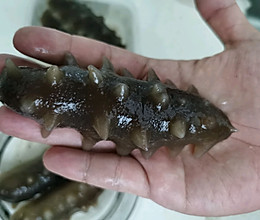 泡发海参的做法
