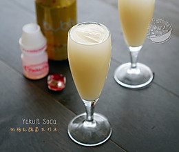 【乳酸菌气泡水】的做法