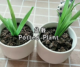 可以吃的“盆栽”的做法
