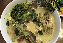 秧草桂鱼的做法