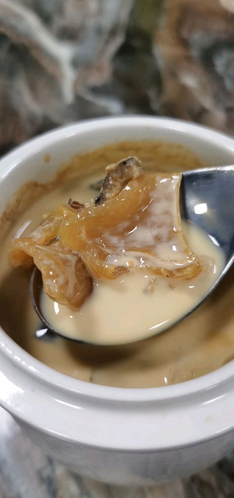 花胶炖牛奶的做法