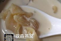 牛奶冰糖花胶的做法