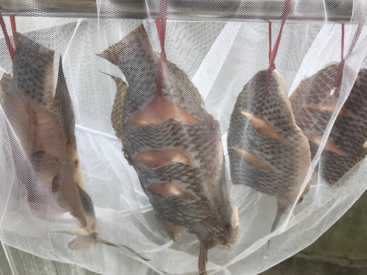 腌鱼干的做法