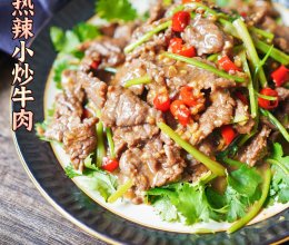 《小炒系列》不下两碗饭算我输，热辣小炒牛肉的做法