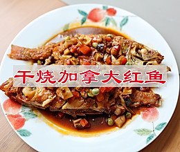 #感恩节为TA做顿饭#干烧加拿大红鱼的做法